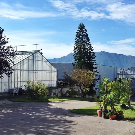 Modern Apartment In Trecase With Garden Trecase